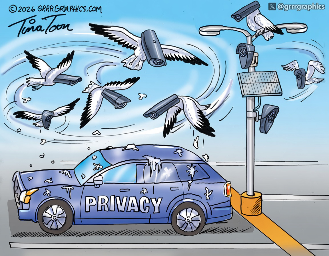 Flock Cameras