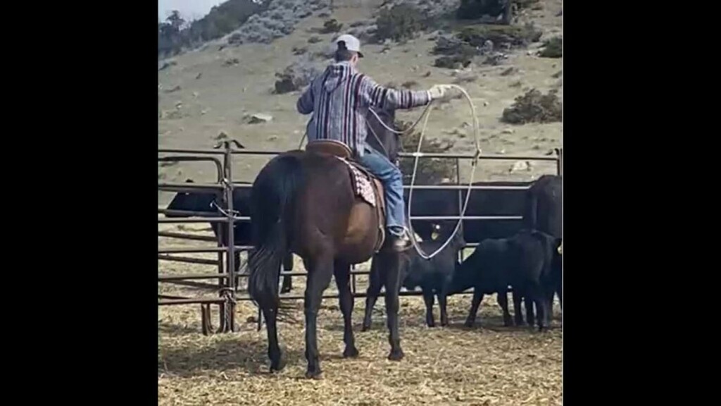 Montana Teen Uses Rodeo Lasso to Rescue Drowning Man on Yellowstone River