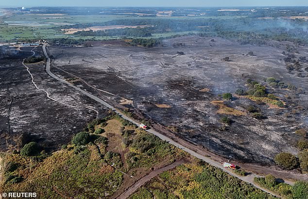 Provisional statistics showed only 5.6mm of rain fell in England in July - less than half the previous record low of 13.4mm set in 1911. A drone view shows scorched woodland near Dunwich after the coastal heathland blaze