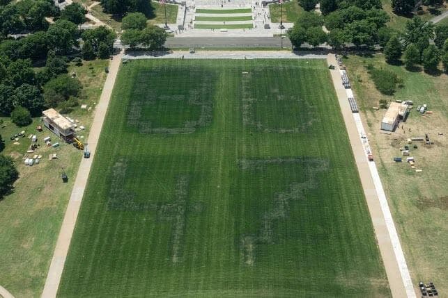"Pure Case Of Vandalism": Trump Rages As DoJ Drops Reflecting Pool Case Against Former Olympian