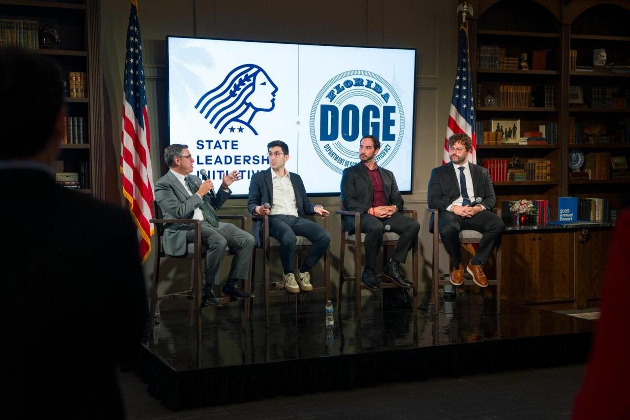 The State Where DOGE Is Actually Working