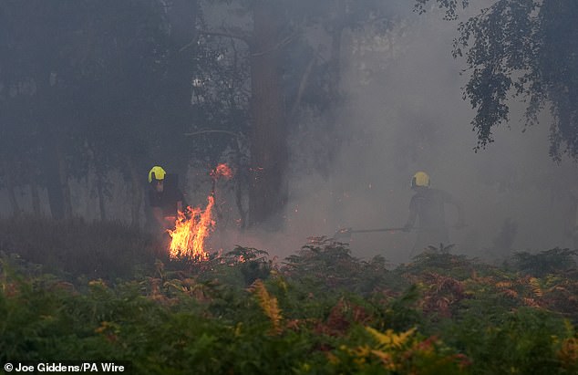 More than 20 fire services, from Durham in the North to Dorset and Somerset in the South, have been forced to respond to wildfires in recent days. Firefighters tackle the blaze at Dunwich Heath