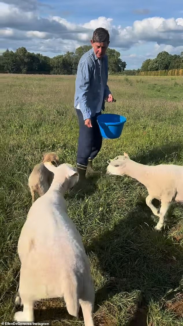 In a social media post, DeGeneres joked her lawnmowing skills were 'not great', and said she and wife De Rossi would use sheep instead to keep the grass in check