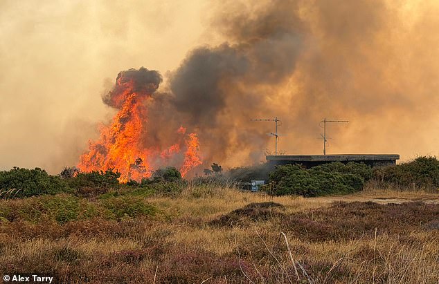 Wildlife habitats devastated in UK wildfires could take 25 years to recover, experts warn
