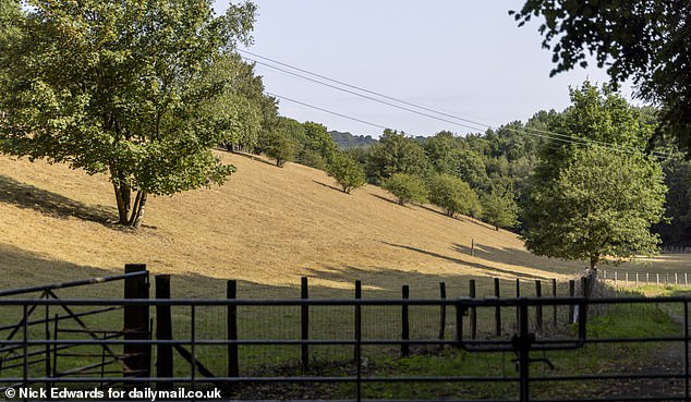 A dried field on Hosey Hill, Hosey Common Road, where a hosepipe ban is in place