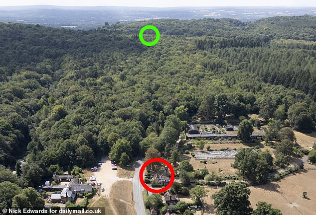 How the other half live! The road divided over a hosepipe ban with half of residents forbidden to water their lawns... while neighbours have luscious green gardens