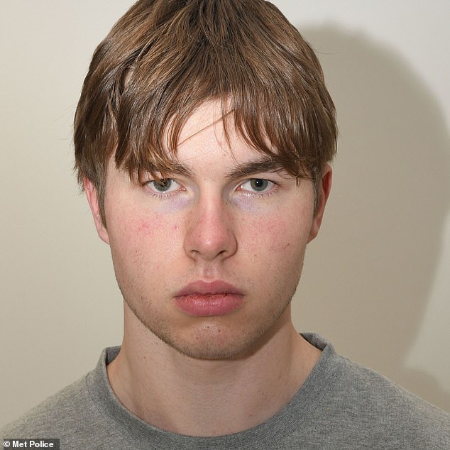 Natland, 19, was found guilty of conspiracy to murder following a two-week trial at the Old Bailey. He had already admitted possession of firearms