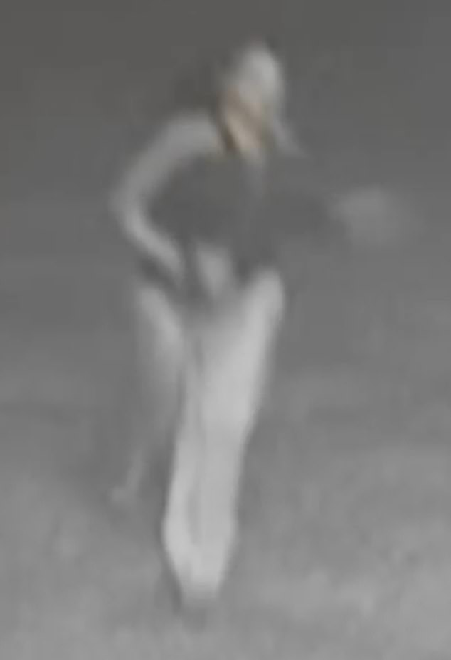Murphy (above) allegedly fled the scene after crashing into parked cars nearby