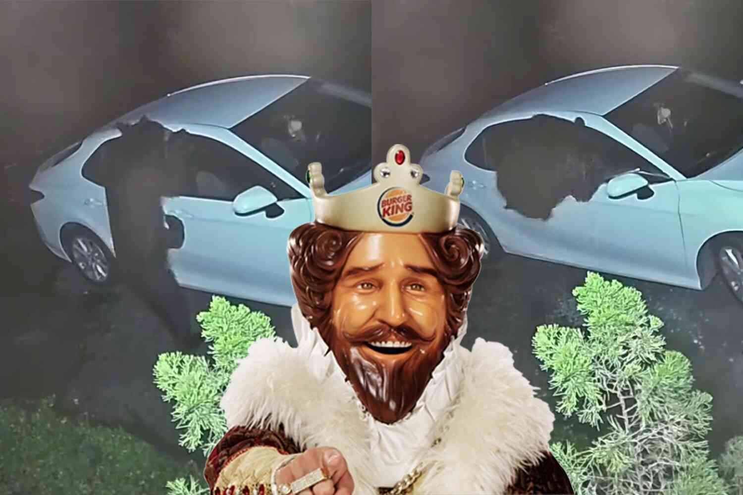 This bear breaking into a car for Burger King trash is one of the craziest wild animal videos I've ever seen