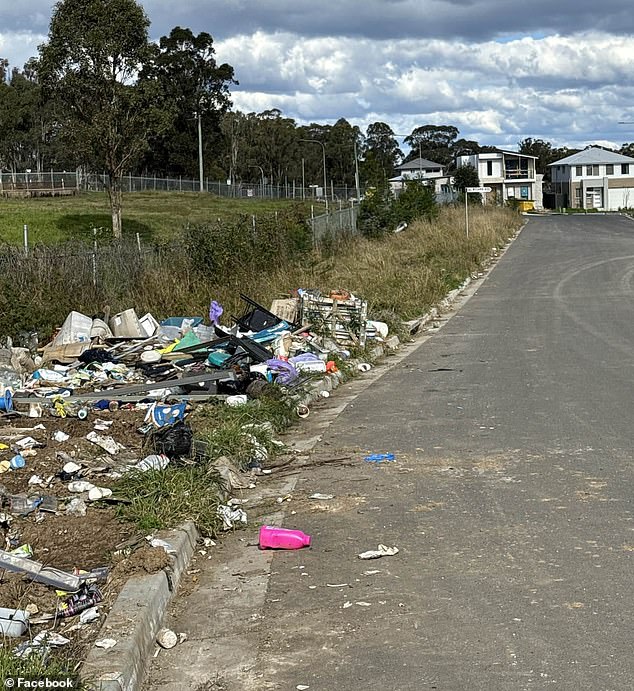 Piles of garbage and household waste, including cardboard boxes, paint buckets and furniture, were seen scattered along Sixth Avenue and Lippizan Road in Austral