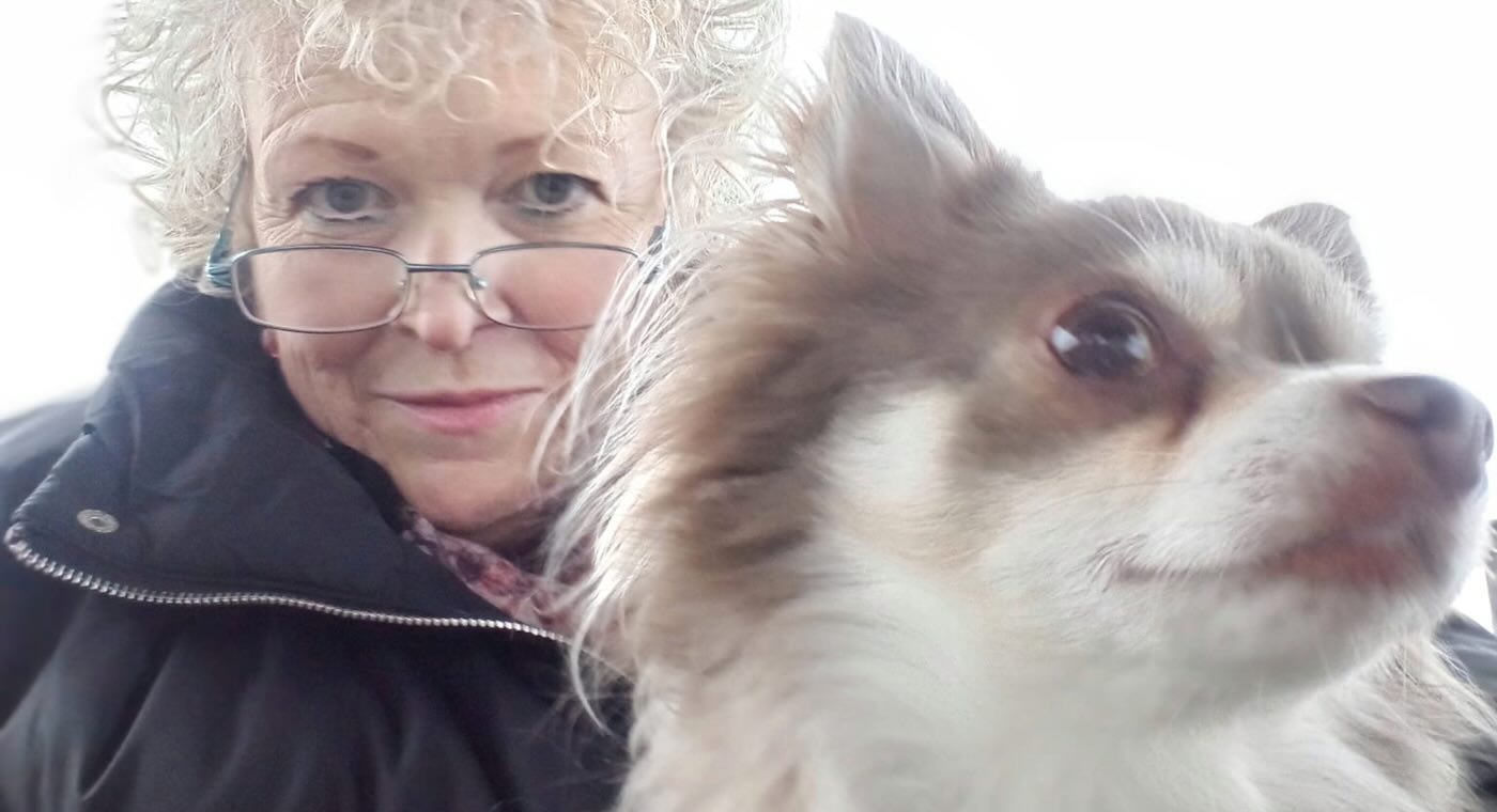 Chihuahua Won’t Stop Pawing at Her Until Owner Finds the Breast Cancer She Smelled