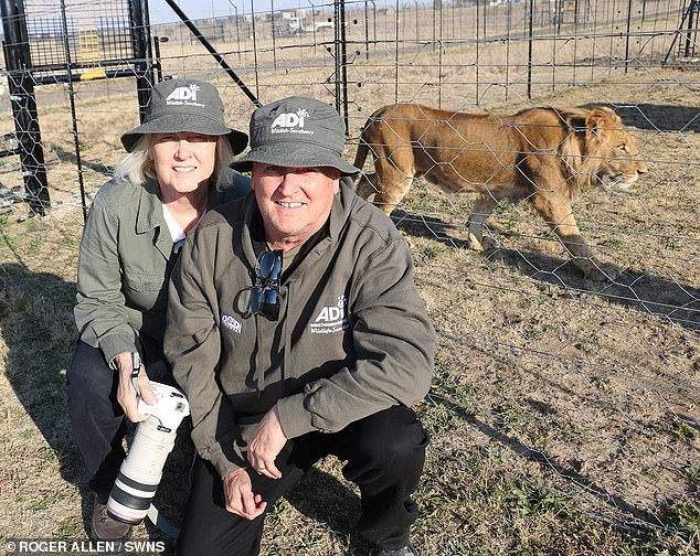 ADI founders Jan Creamer (L) and Tim Phillips, from Surrey, accompanied the lions on the 50-hour journey from Israel to Johannesburg via Cairo and Frankfurt.
