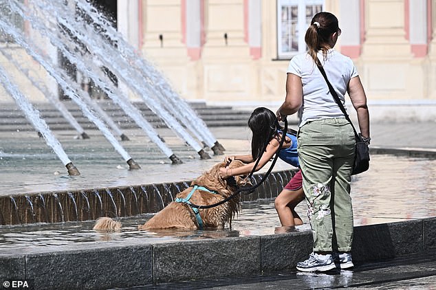 A dog cools off in the fountain of Piazza De Ferrari in the city centre of Genoa, Italy, August 6 2026