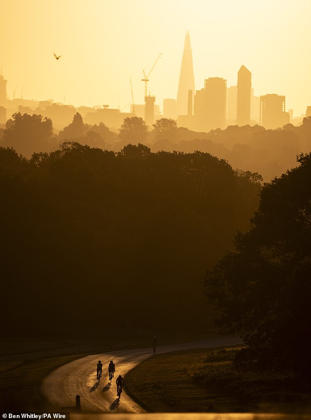 Cyclists in bathed in the early morning sun as they ride through Richmond Park, London