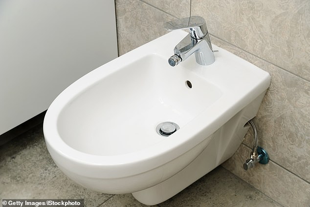 Bidets can be a useful addition to a home... but in a bedroom?