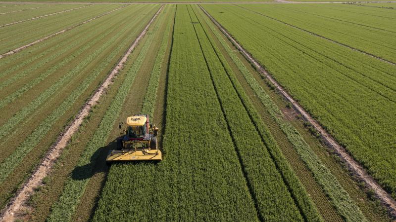 farming