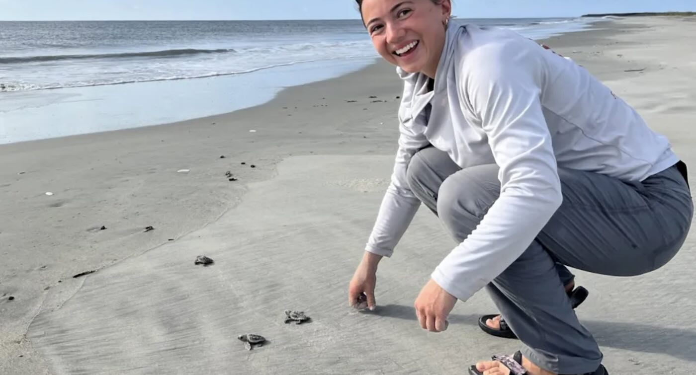 Loggerhead Sea Turtles Break Nest Record in Georgia – The Most in 37 Years