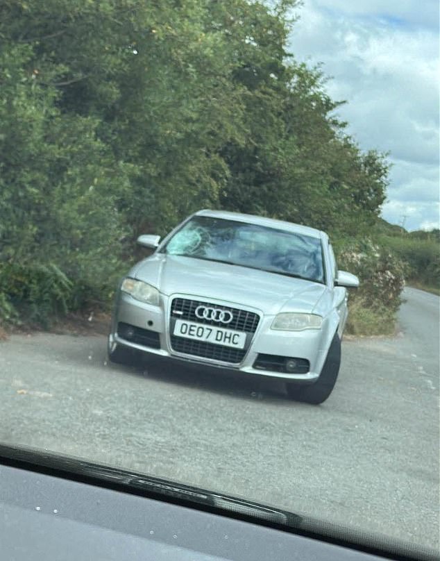 CCTV footage showed the coming through a security gate, with the owner believing they were a customer who had made an appointment