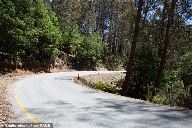 Man is crushed to death after tree falls onto his car at Mount Buller ski resort