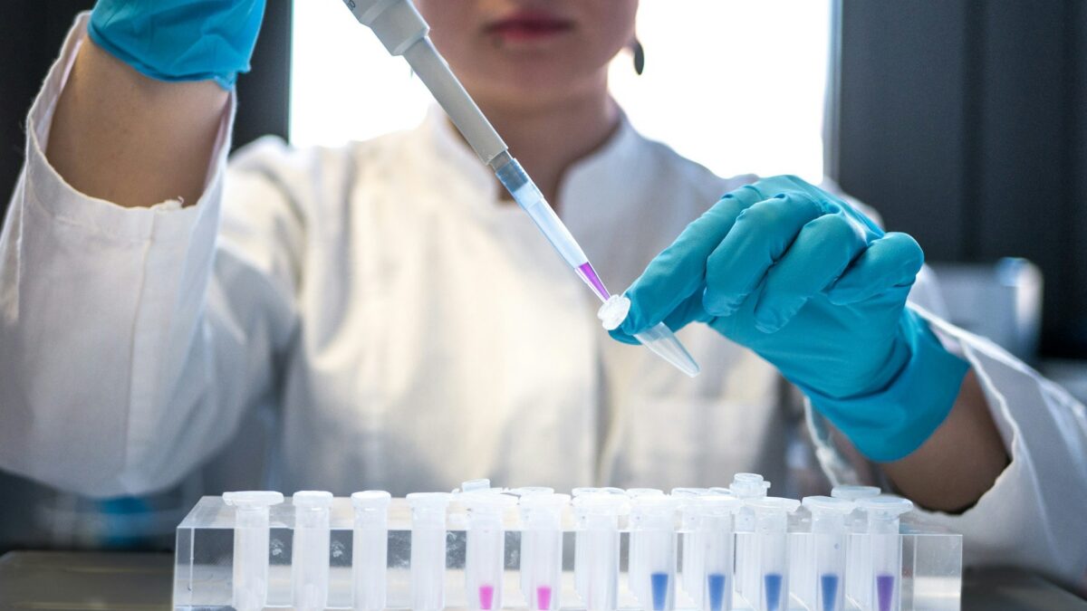 Meet The Fertility Org Funding Dystopian Embryo Experiments Across America