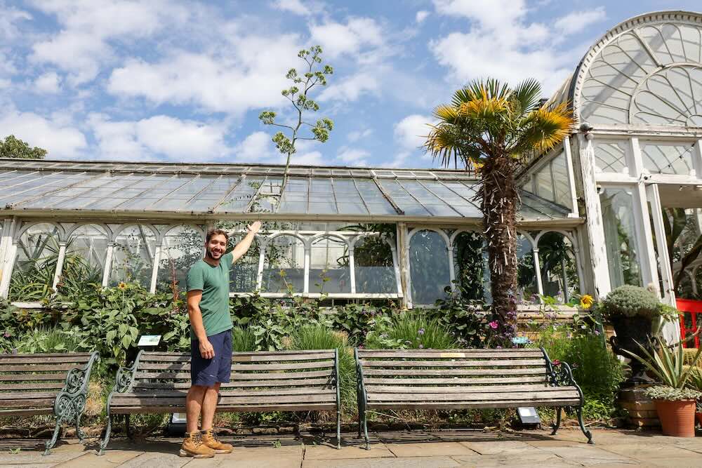 Plant’s First Flower is a ‘Death Bloom’ So Tall the Greenhouse Had to Remove Ceiling Panels