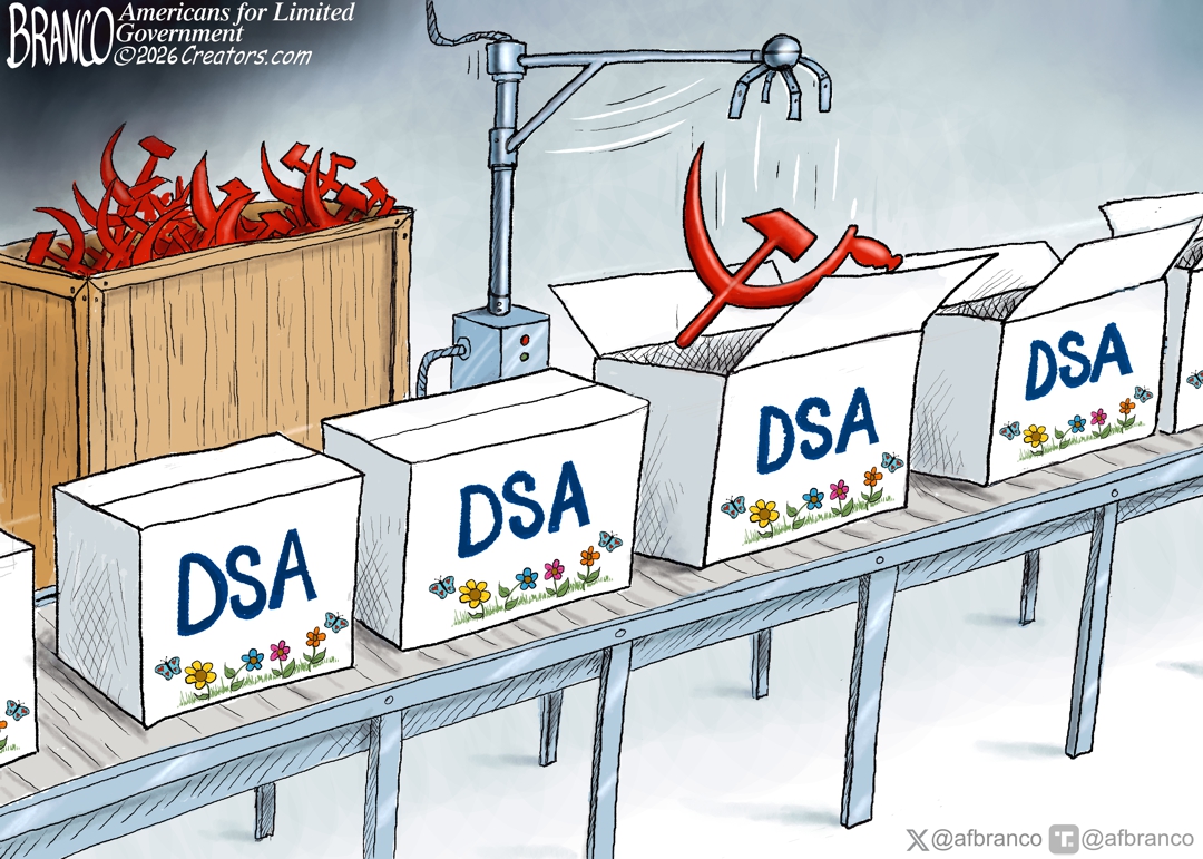 Branco Cartoon – Rebranding