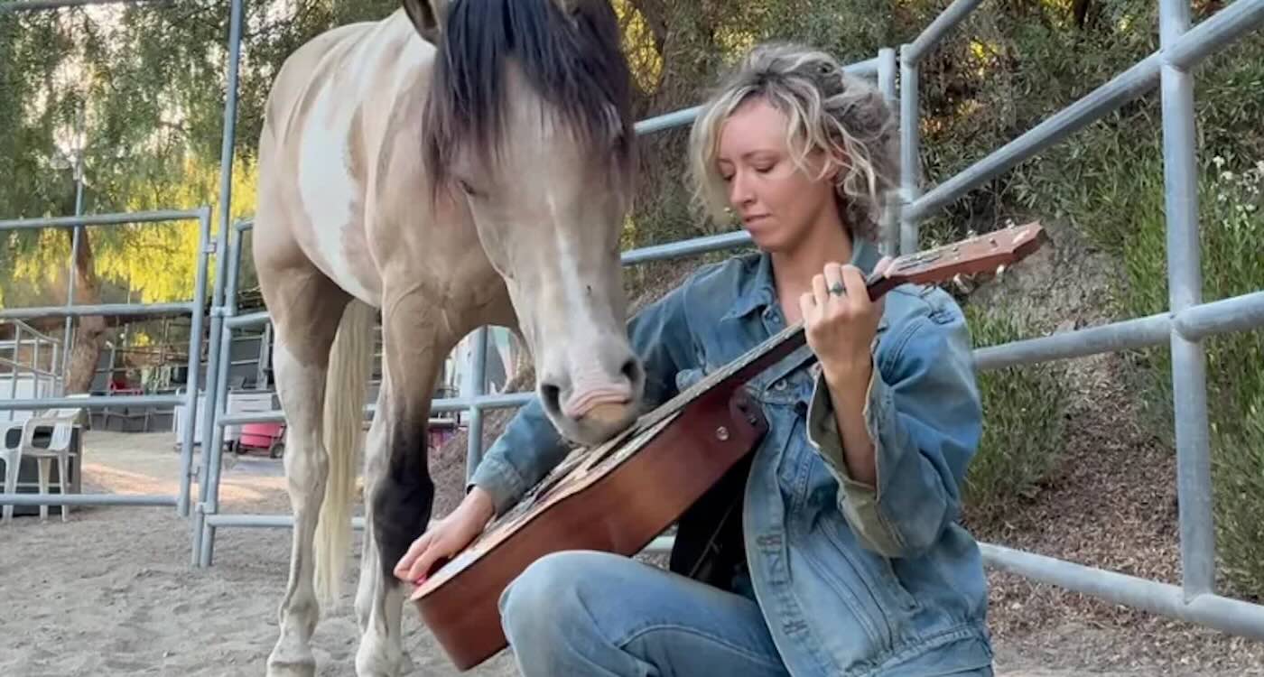 A Real Rockin’ Horse: Music Tames a Rescue Foal Who Learns to ‘Play’ Instruments for Album Debut