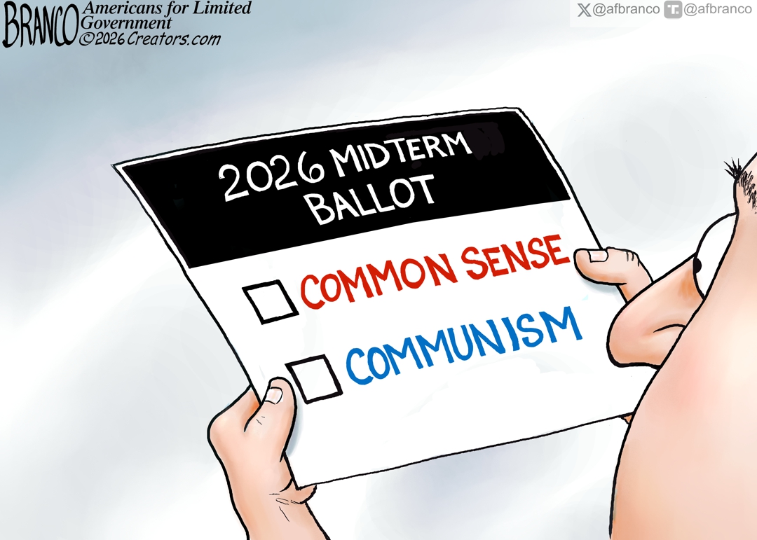 Branco Cartoon – 2026 Ballot Made Simple