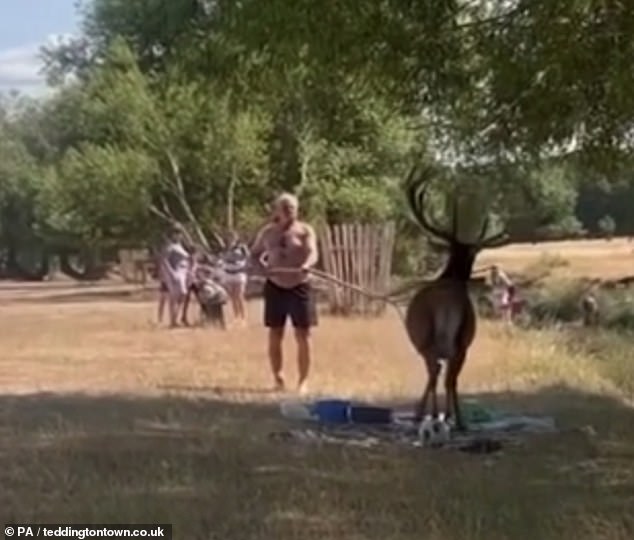 In August, the charity expressed its 'shock' at footage showing children and adults feeding the animals