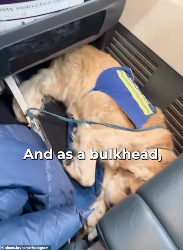 Due to his allocated seat, Shane was unable to safely secure the SmartDrive under the seat without it rolling around near his service dog Whitney