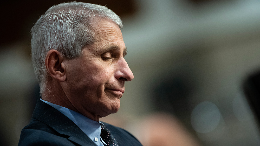 Fauci faces mounting legal pressure as Senate probes intensify
