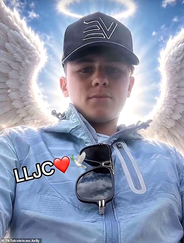 Joey Carthy also died in the crash on the M9 motorway. In a social media tribute, someone published a picture of a balaclava with the caption: 'Your bally (sic) you gave me the other day. My heart's in bits. Please, man. Don't do this to us, Joe.'