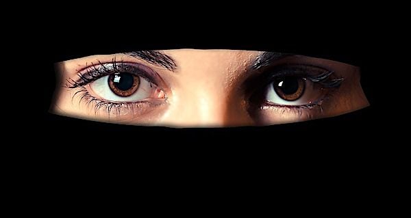 ‘Are they terror organizations or are they not?’ State lawmaker calls for special session to combat Sharia in America