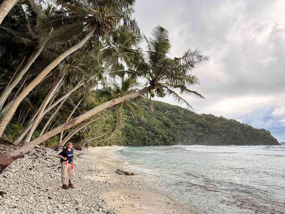 Samoan Island Witnesses Explosion of Native Wildlife Following Removal of Invasive Rats and Pigs