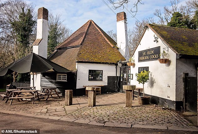 Ye Olde Fighting Cocks pub in St Albans, just outside the perimeter of Verulamium Park