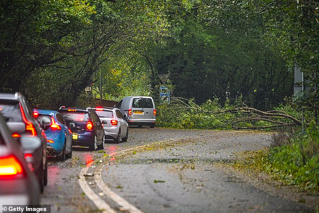 Road closure caused by fallen trees on the A39 between Falmouth and Truro in Cornwall today