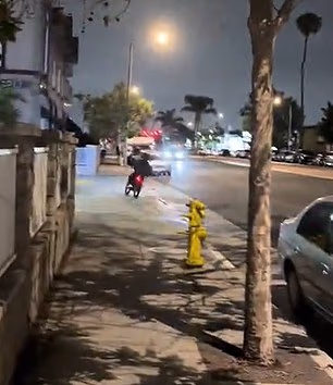 The youngster mounted a sidewalk to get away from the police