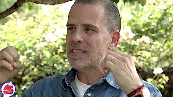 ‘A shadow government’: 2 ex-FBI officials arrested, accused of lying to Congress about Hunter Biden investigations
