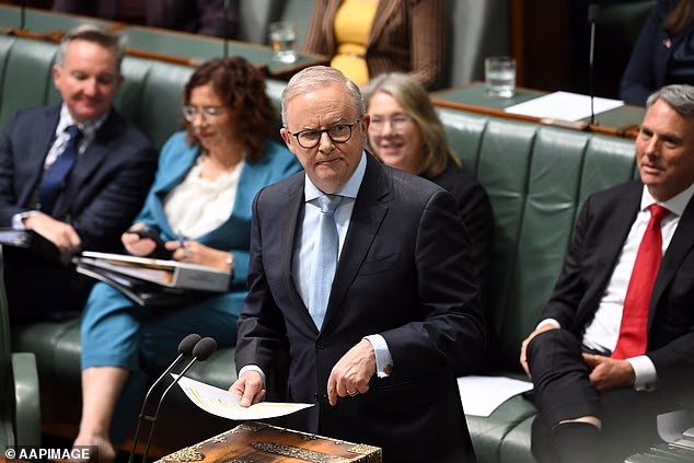 Tense moment public servant is grilled over who helped produce Helen Haines dirt file for Albanese's office