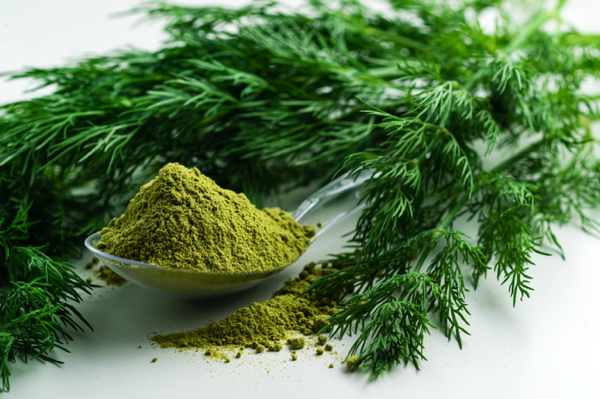 Unveiling the healing power of dill: Discover this ancient herb&amp;amp;#8217;s health benefits