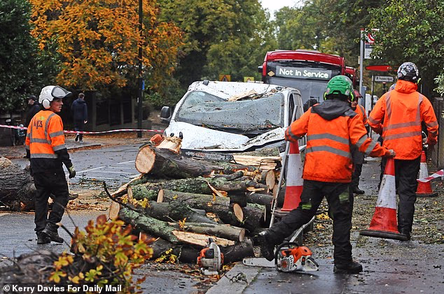 A damaged car after a tree was brought down by a heavy gust of wind in Richmond, west London
