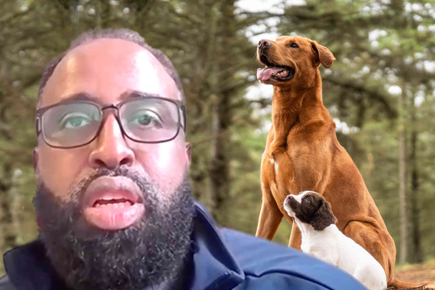 Somali-born superintendent says Maine schools should change policy on dogs because they are impure