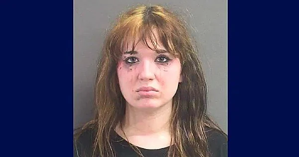 A selfie turns into a mugshot: Anti-Trumper lands in jail after online joke