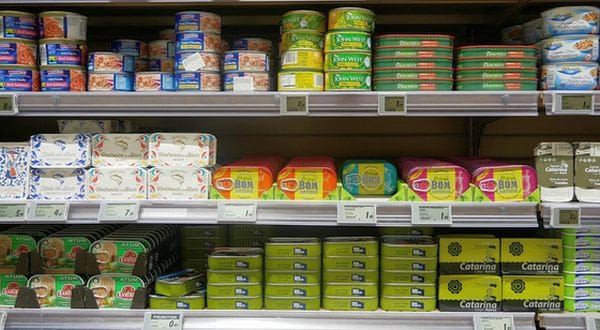 ‘Many vulnerabilities’: If you can’t buy groceries or medicines, what will you do?