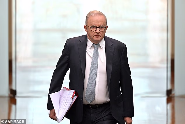 The full scale of Albo's betrayal of 5% deposit first-home buyers is now clear. Just look at who he chose to protect: PVO