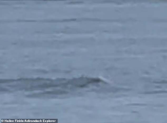Is this America's Loch Ness Monster? Tourists claim to spot strange phenomenon linked to mysterious legendary sea monster named Champy living in spectacular lake