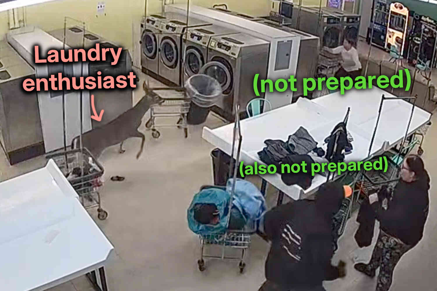 Young buck rampages through laundromat after taking out customer in the parking lot