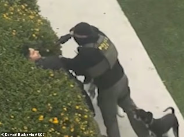 Dramatic moment ICE officer shoves gun in the face of unarmed bystander during tense Hollywood operation