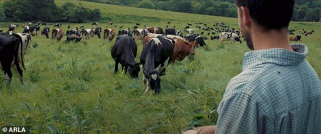 Arla's website boasts glossy images of contented cows grazing in verdant meadows, accompanied by assurances of ¿clean and comfortable resting areas¿, outdoor spaces, waterbeds and automated cow brushes ¿ ¿because sometimes a good scratch hits the spot¿
