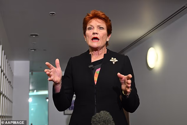 When Albo offered One Nation MP David Farley an extra adviser with a salary of $200,000 a year, Pauline Hanson (pictured) virtually labelled it tantamount to a bribe